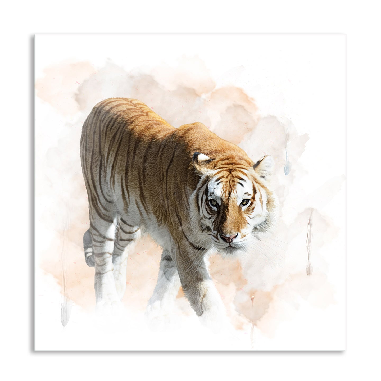 [오늘출발][신상품]세잔느화실 풍수 재물행운금슬운 돈이들어오는인테리어 모음전06-풍수호랑이수채화 - 24x24cm