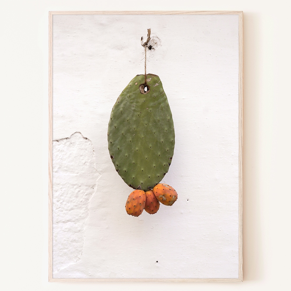 로얄블루아트샵 지중해 마을 하얀 벽에 걸린 초록 선인장 포스터 액자