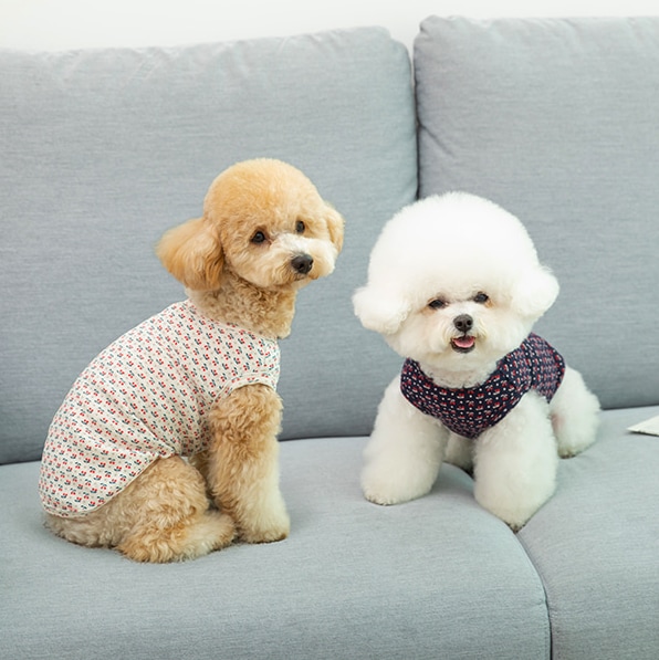 [오늘출발][신상품]펫츠랜드 체리도트 나시티 강아지옷 애견의류