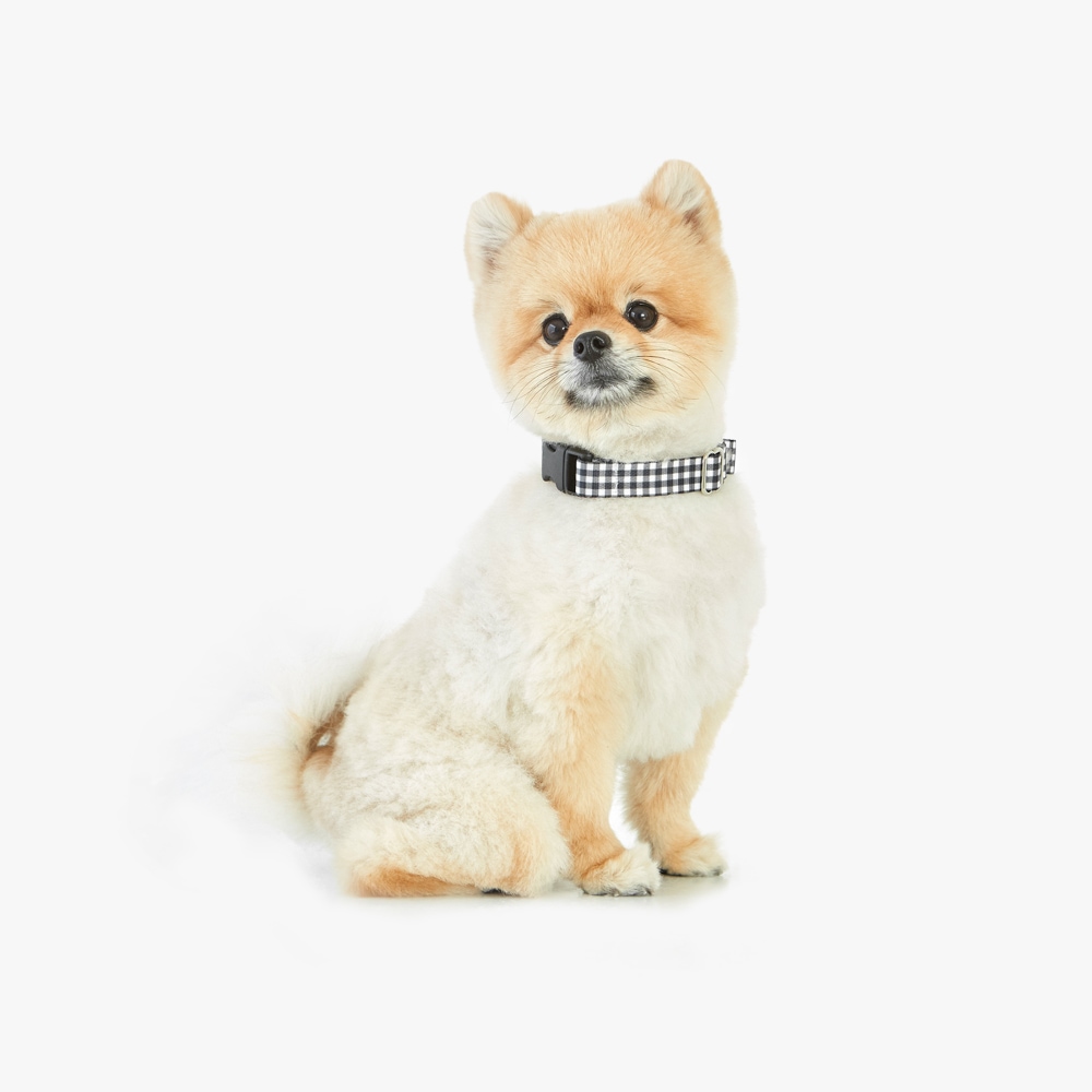 [신상품]베럴즈 마틴게일 목줄 (체크 블랙)