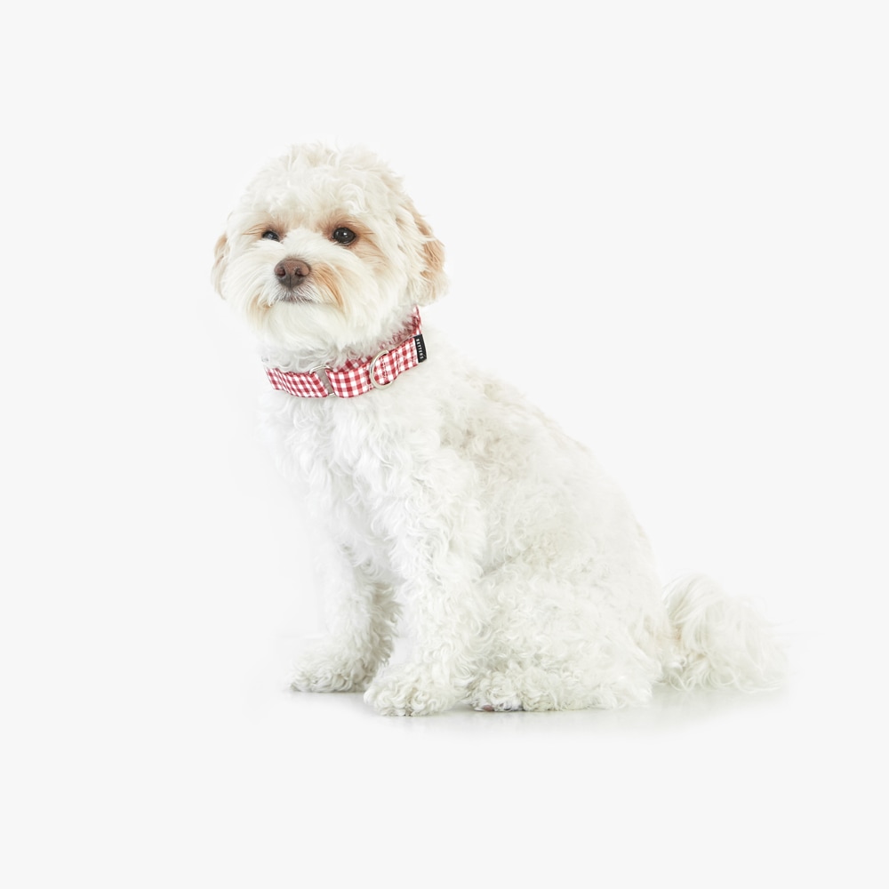 [신상품]베럴즈 마틴게일 목줄 (체크 레드)