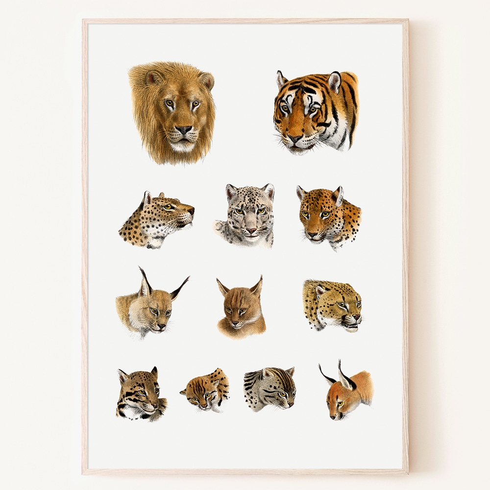 로얄블루아트샵 풍수 사자 호랑이 고양이과 동물 빈티지 그림 액자