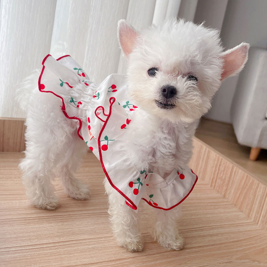 [신상품]마브펫 강아지 체리 원피스 여름옷