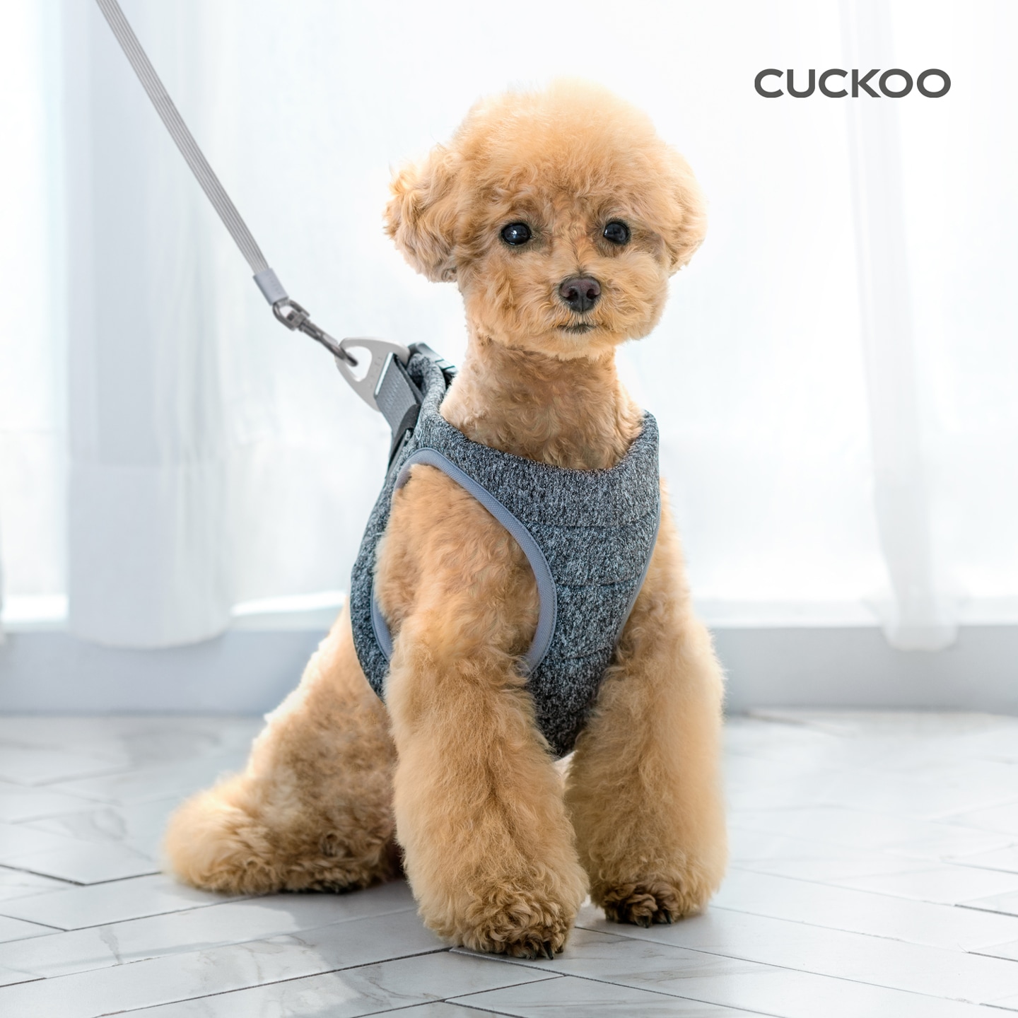 넬로 67g 초경량 야광 로고 펫 하네스 NH-A10MB (M)