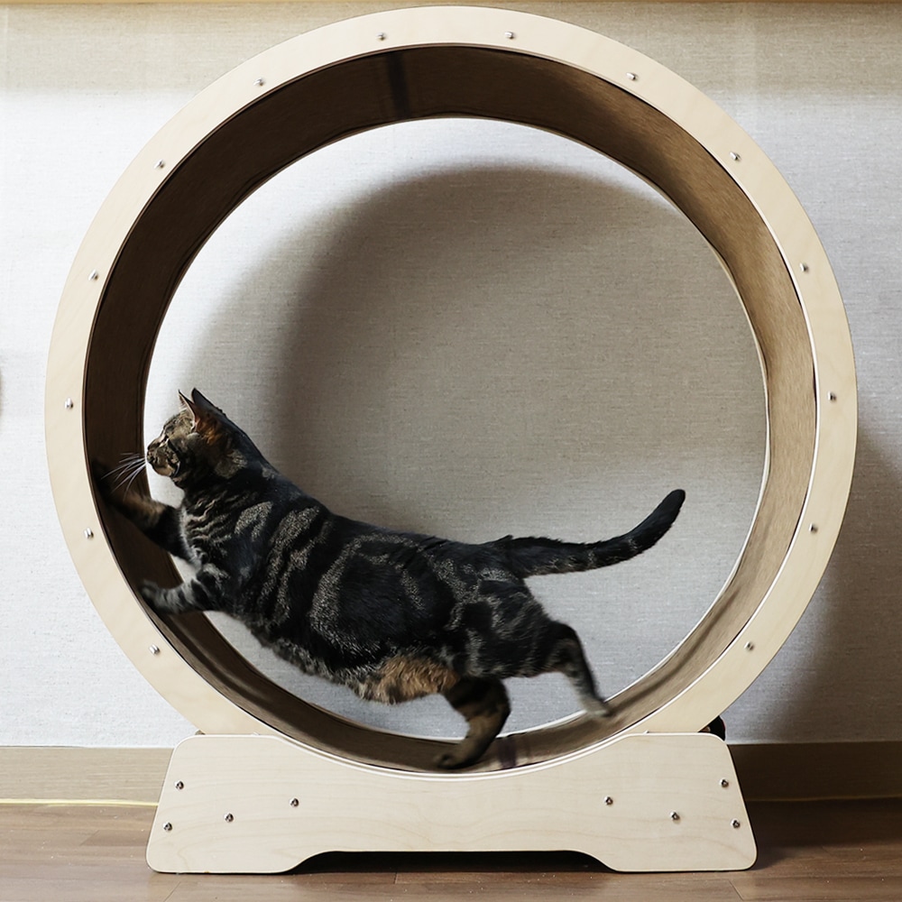 [신상품]나비나무 캣휠 고양이 런닝머신 저소음 국내제작 88cm