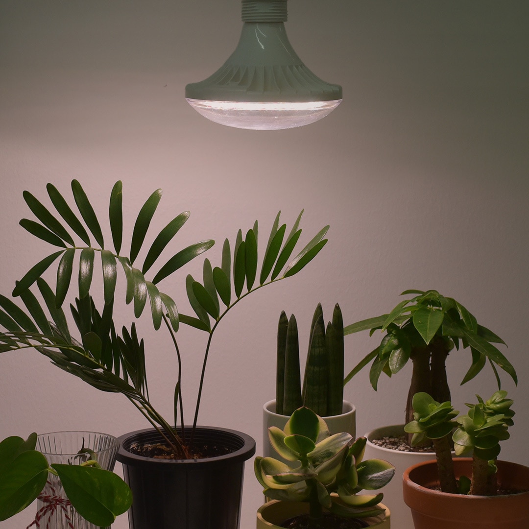 [신상품] 마이플랜트 풀나옴 식물등 UFO LED 벌브 21w 전구 식물 생장등