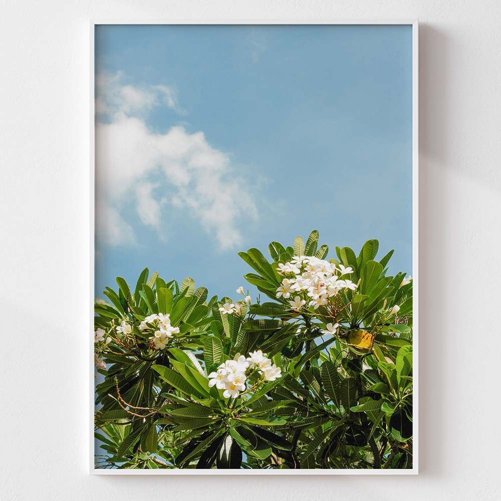 에덴미술 플랜테리어 식물 인테리어 감성 포스터 액자_under the sky