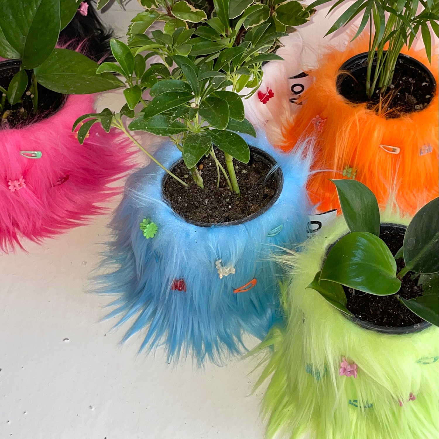 46month furry pot cover (7colors) 화분커버ㅣ팟커버