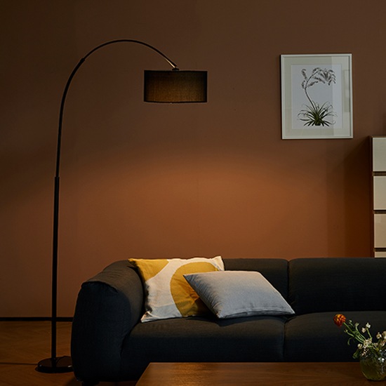 한샘 한샘몰pick 스피아노 블랙 아크 장스탠드 조명 