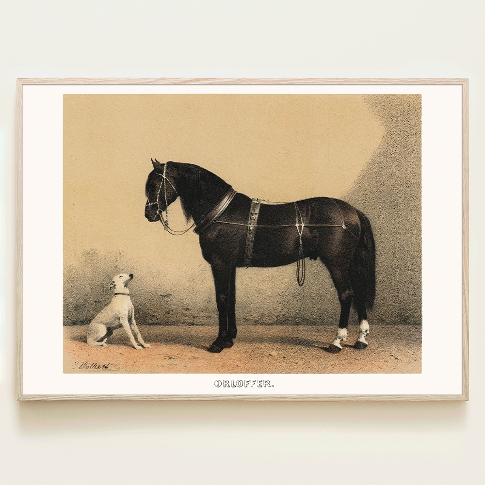 [신상품]로얄블루아트샵 경주마 흑마 강아지 동물 귀여운 그림 빈티지 소품 액자