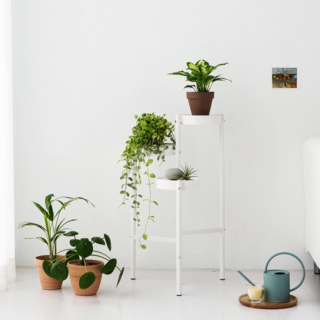 마켓비 TRISHEL 3단 선반 - 화이트