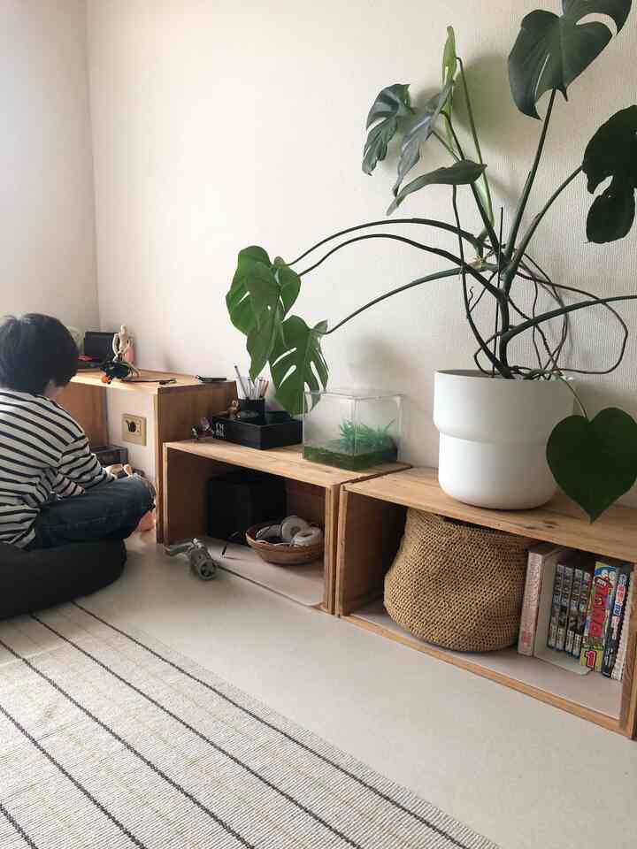 Natural tone entrance space featuring wooden box shelving and a large potted plant creating a calm atmosphere