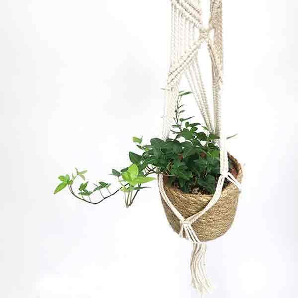 マクラメ ハンギングポット D