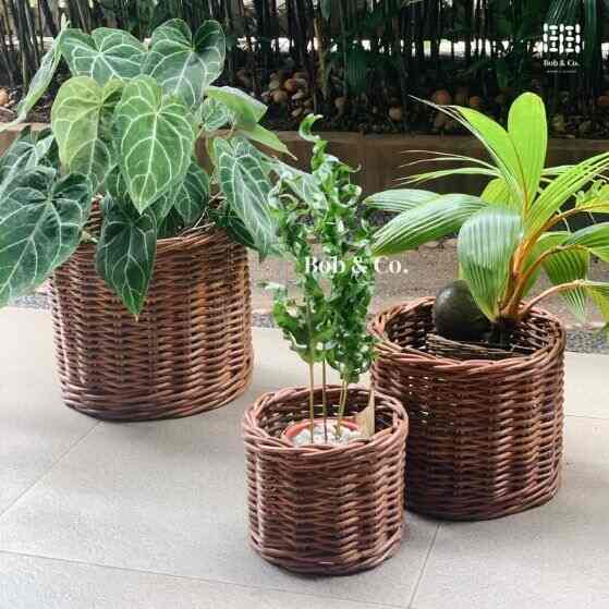 Keranjang Rotan Besar