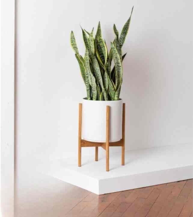 Pot Tanah Liat, Putih