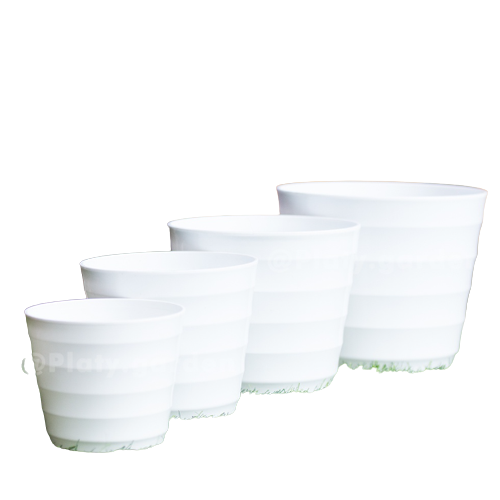 Pot Mado Model Sarang Tawon Putih