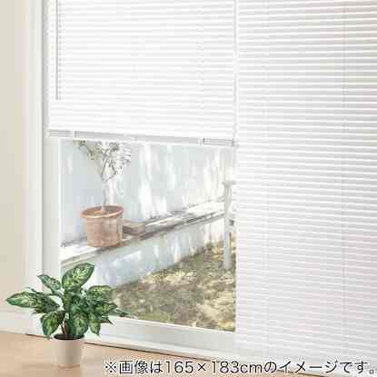 ブラインド(プレインWH)【2size】