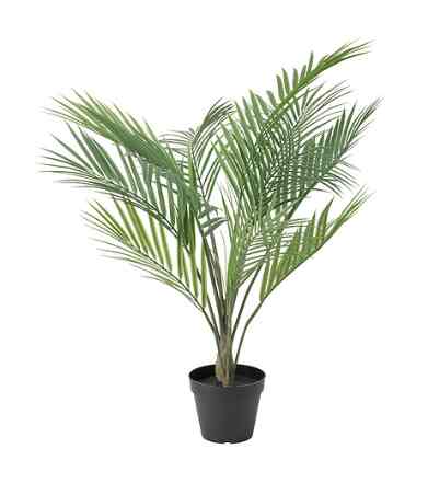 FEJKA Tanaman tiruan dalam pot, dalam/luar ruang areca palm, 12 cm