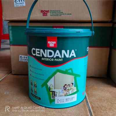 Cat Cendana Gentle White