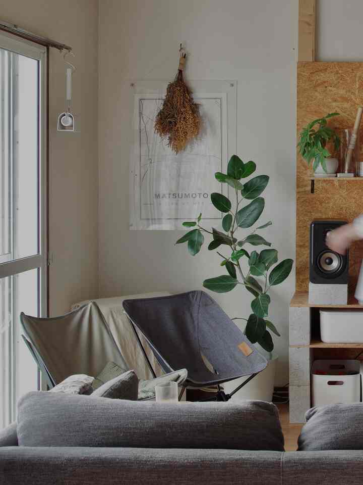 Gray sofa and natural modern armchairs in a cozy living room with wooden flooring and lush green plant