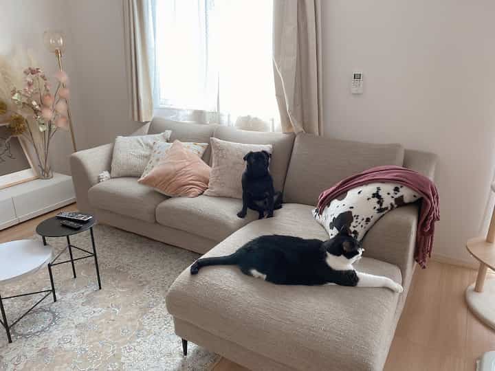 ベージュ色調のリビング、大きなL字型ソファに犬と猫が座り、落ち着いた雰囲気のインテリア