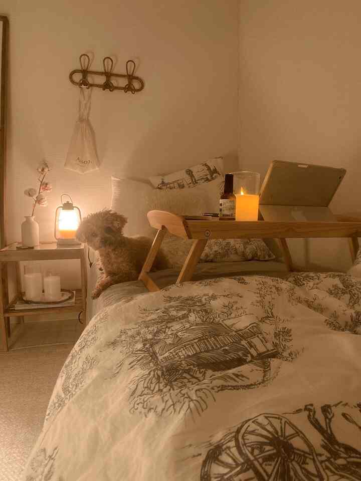Beige-toned cozy bedroom featuring a dog on the bed with a wooden bed tray and nightstand arranged nearby