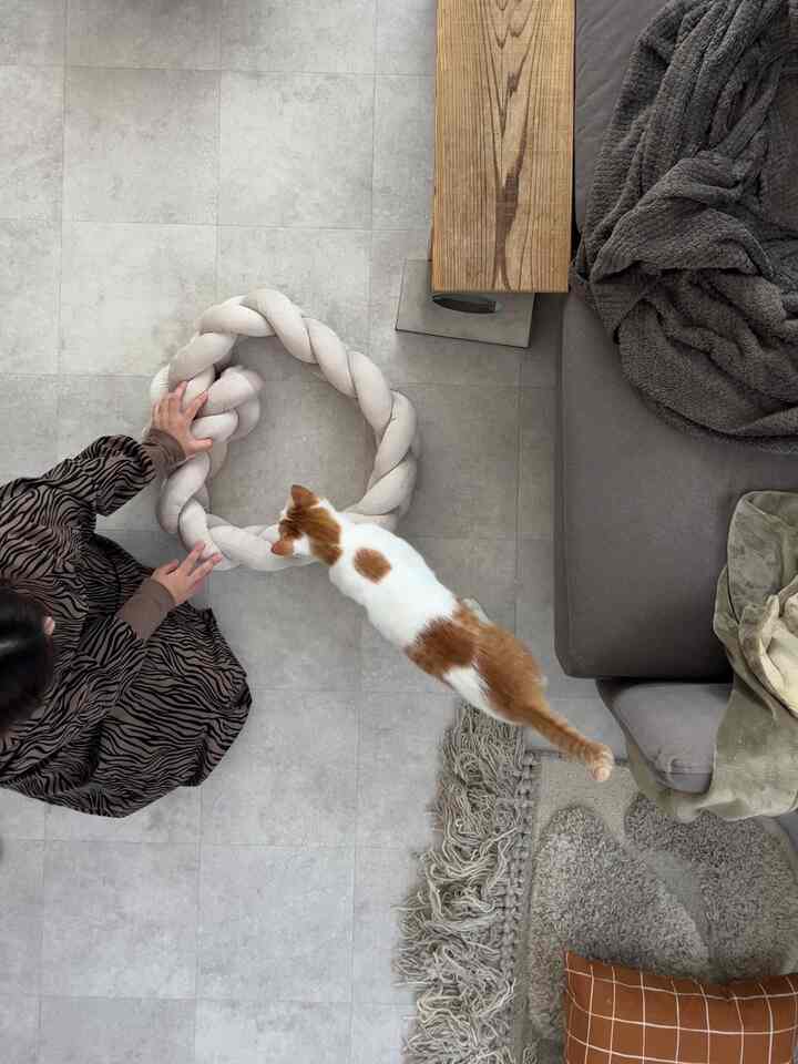 ベージュと木目調のリビング、ソファとラグが配置され、中央に猫がいる落ち着いた雰囲気のインテリア