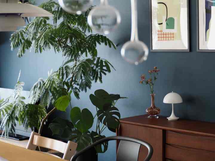 ナチュラルカラーのダイニング、木製家具と植物、テーブルランプが配置された印象的な空間