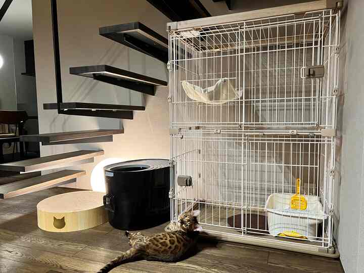 Wood tone and white small space with stairs beside a cat cage and scratching post for pet cats