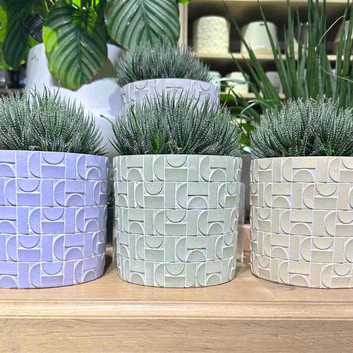 メトリックポット Ф19.5［6色］