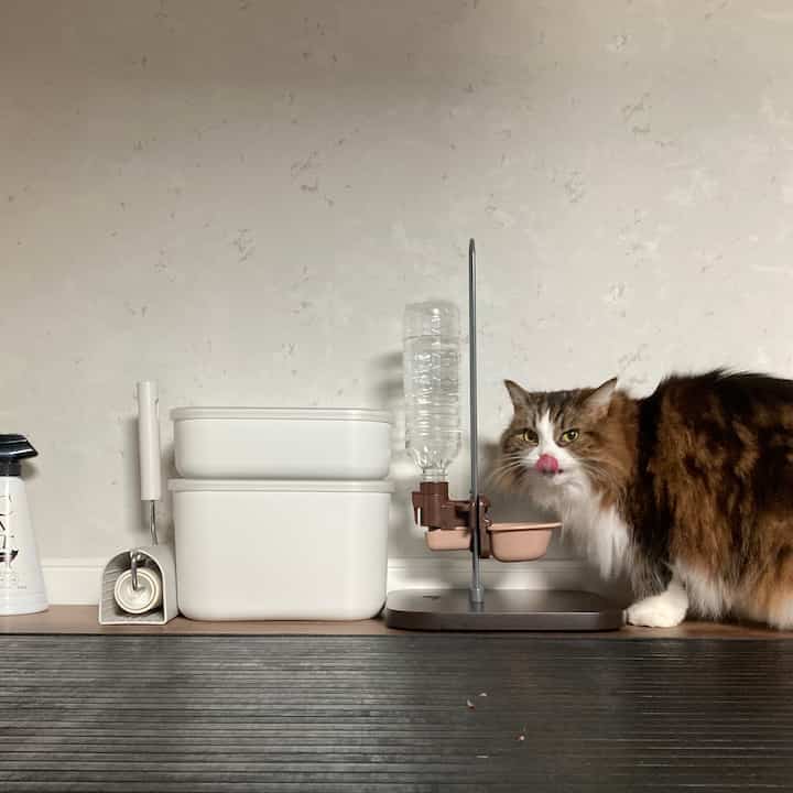 白とナチュラルカラーの収納スペース、ペット用フィーディングステーションで食事をする猫がいる印象的な空間