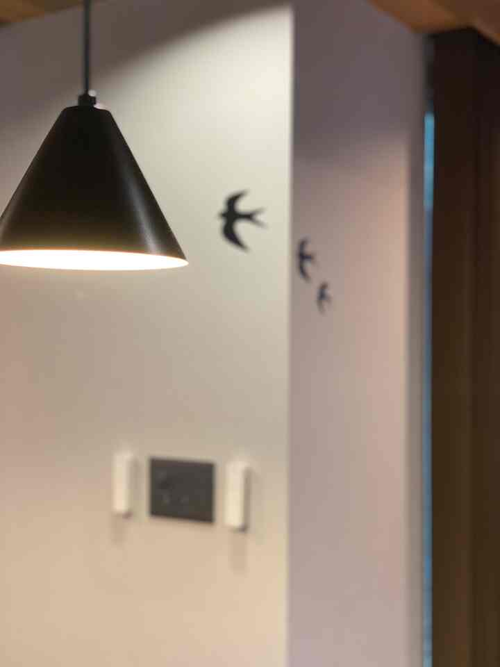 Simple entrance interior with white walls and a black pendant light fixture