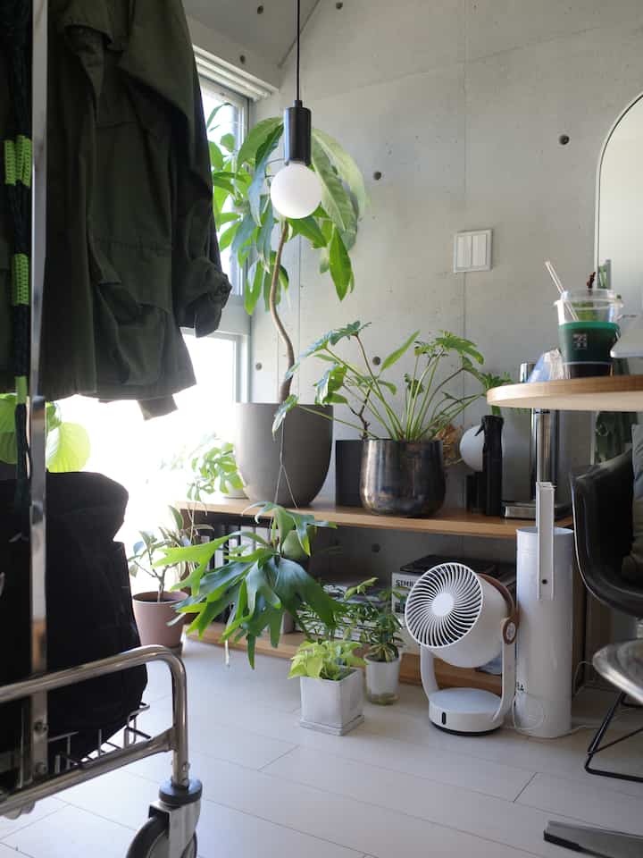 グレーのコンクリート壁と白い床が調和した小さなモダンなホームオフィス、ベンチや床に置かれた多様な植物が自然な雰囲気を醸し出すインテリア