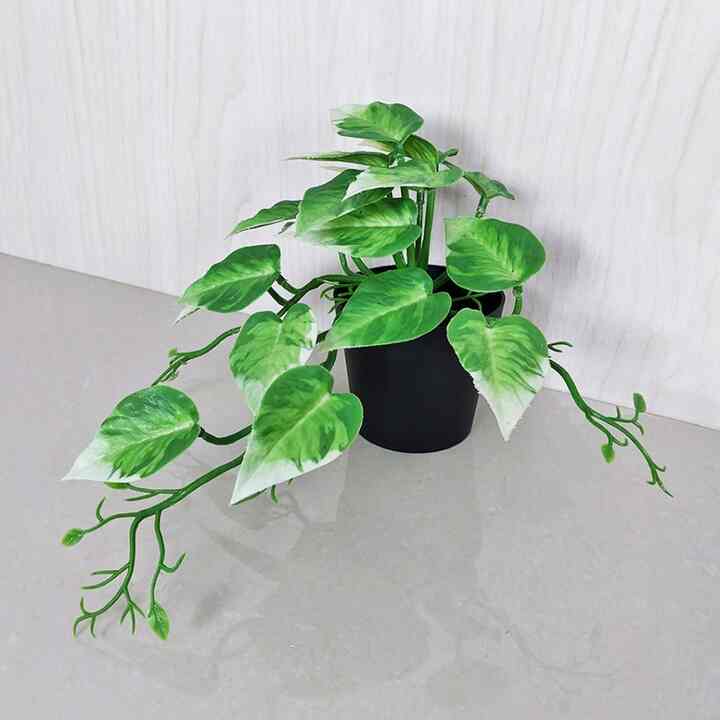 Tanaman Plastik Ornamen Daun PBP115