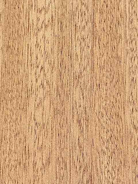 マホガニー 天然木 木口ウッドテープ 粘着付