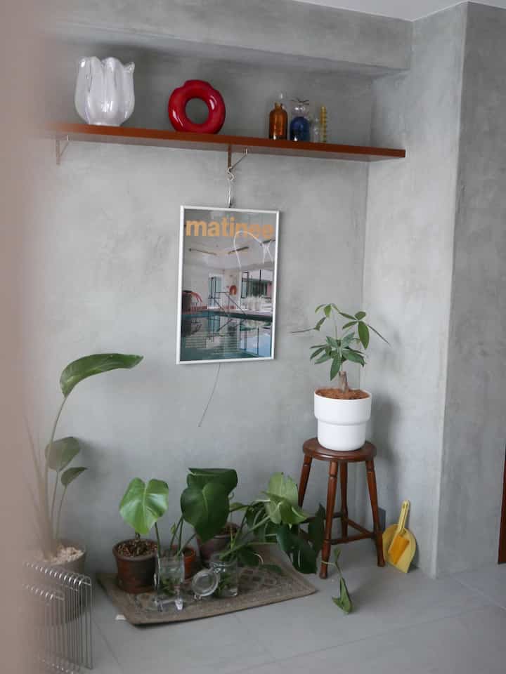 Calm slate gray concrete wall with wood-tone shelf and stool, white plastic plant pot on stool and various plants arranged in a cozy corner
