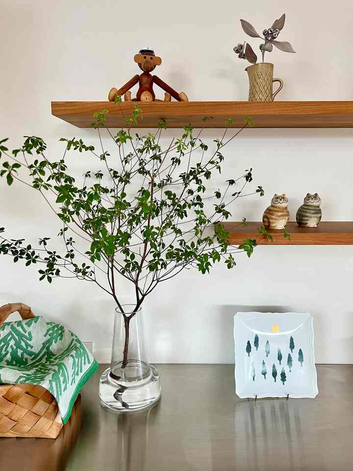 
#scandinaviandesign #scandinavianinterior #myhome #lifewithdogs #北欧スタイル #北欧インテリア #北欧モダン #暮らし #暮らしを楽しむ #日々の記録 #日々のこと #２人暮らし #共働き #インテリア #インテリアコーディネート #シンプルな暮らし #心地よい暮らし #ホテルライク #おうち時間 #犬と暮らす家　
