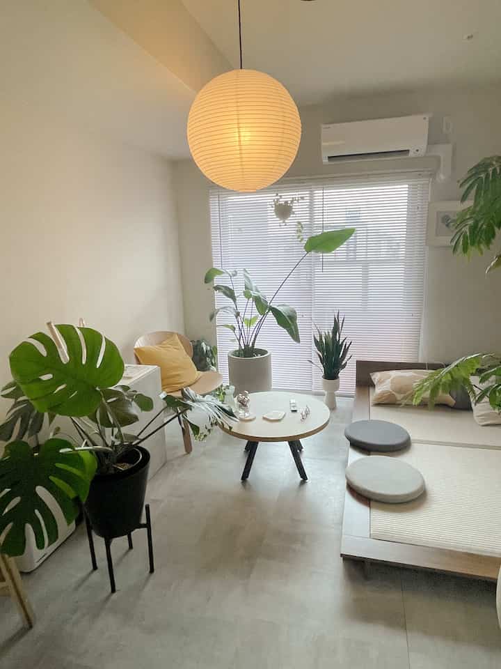 ホワイトの壁とナチュラルな木製家具、クッションと植物が配置された4.5畳のシンプルなリビングスペース