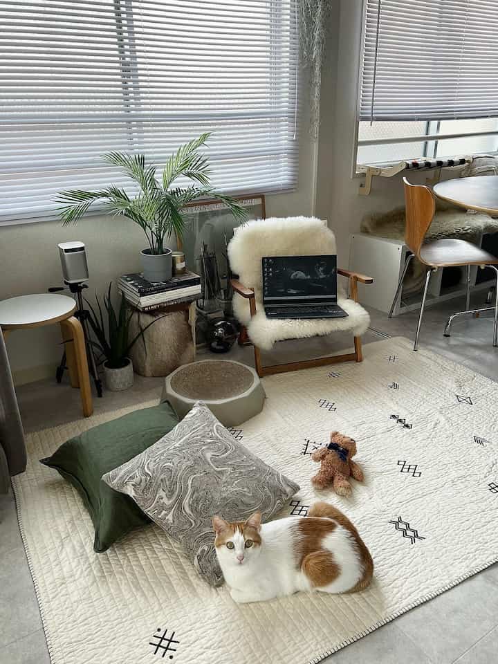 Cozy small room in white and beige tones featuring plants, an armchair by the window, a multi-purpose rug, and a cat on the floor