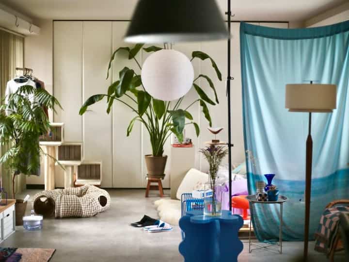 Natural color living room featuring green plants, beige pet bed, and blue curtain with cozy atmosphere
