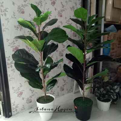 Pohon ketapang artifisial plus pot