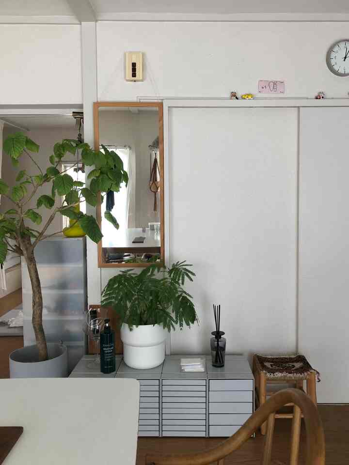 白と木目調のワンルーム、植物とディフューザーが配置されたシンプルでナチュラルな雰囲気のあるインテリア