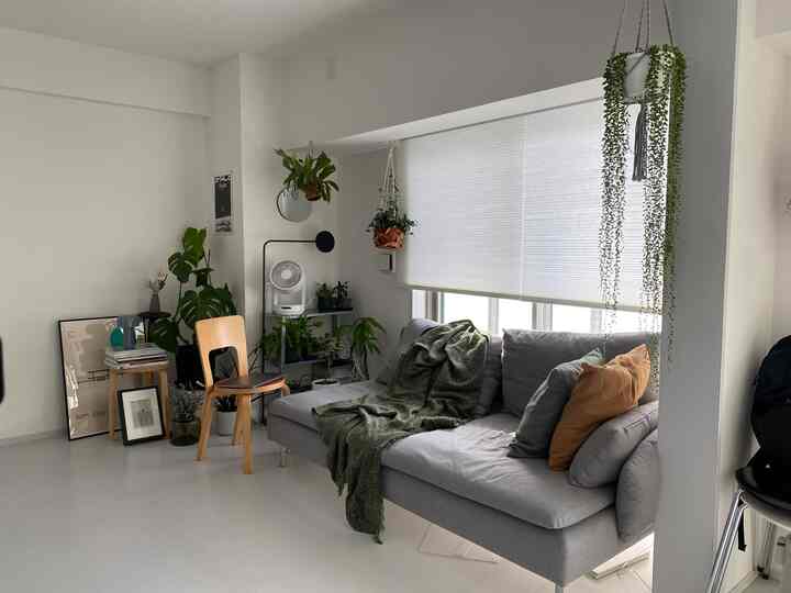 Bright white-walled living room featuring a dark gray sofa and various plants with a modern open atmosphere