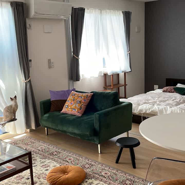 A cozy living-bedroom area with green velvet two-seater sofa and colorful cushions against white walls and wooden flooring