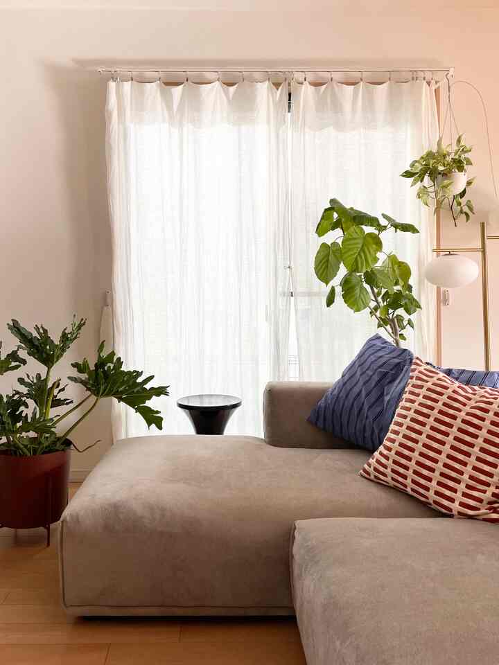 柔らかいベージュのソファと緑の植物が配置された明るく自然な雰囲気のリビングルーム