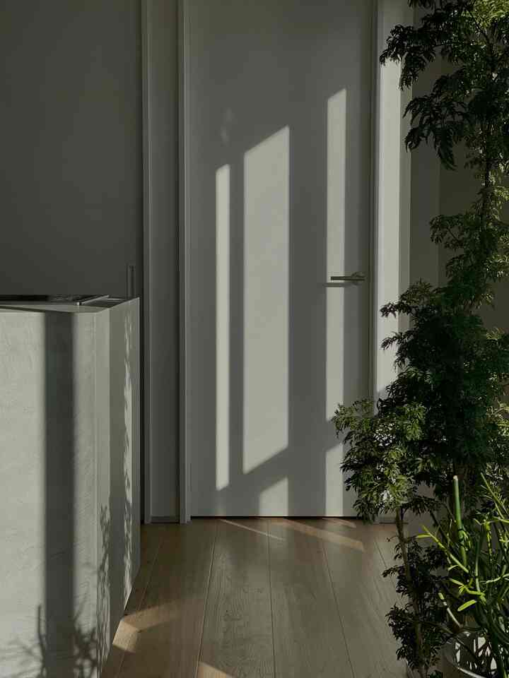 この季節は朝の陽の入り方がとっても好き〜♡
観葉植物達をみんな窓際に移動させて日光浴させるのが日課🌿
#グリーンインテリア 
#フローリング 
#キッチンデザイン 
