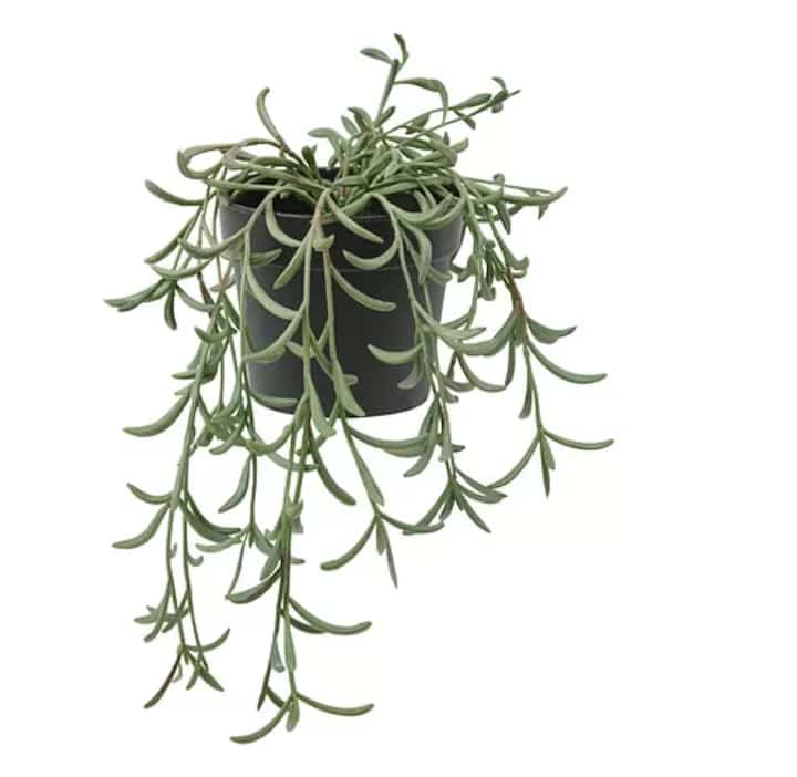 FEJKA Artificial potted plant