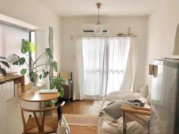 Bright white and brown toned small living space for single household, featuring natural wood dining table, chairs, and large green plants creating a cozy atmosphere