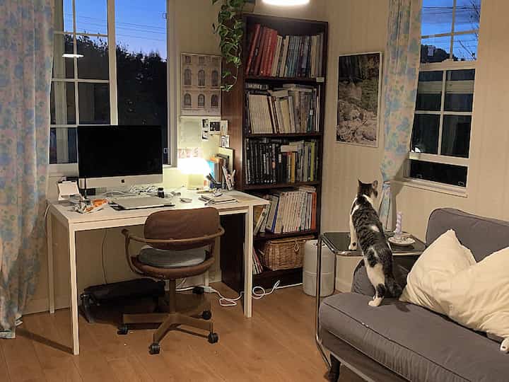 ライトブラウンの床とグレーのソファがある居心地の良いリビング兼ホームオフィス、白いデスクとオフィスチェア、ソファに猫がいる雰囲気のあるインテリア