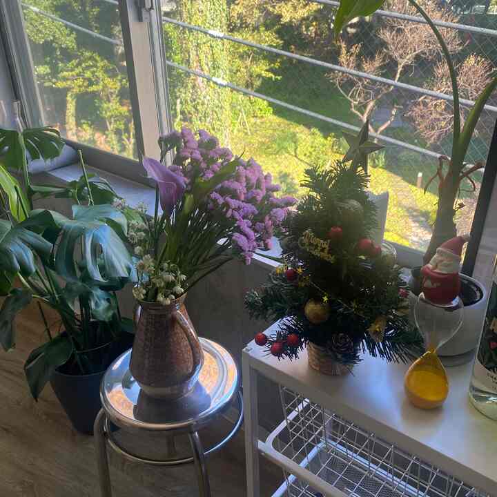 #クリスマス小道具 #クリスマス #クリスマスパーティー #クリスマス装飾 #クリスマス準備 